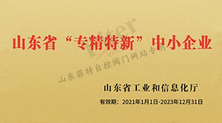 山東2020年度省級(jí)“專精特新”中小企業(yè)名單公示，菲特榜上有名